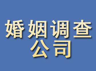 桃源婚姻调查公司